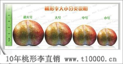 精品水果金庭桃形李营养价值9