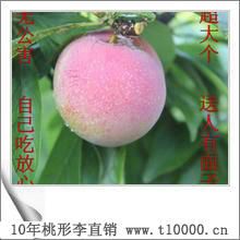 江南珍果——金庭桃形李的营养