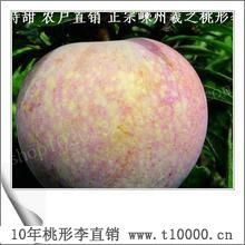 江南珍果——金庭桃形李的营养2